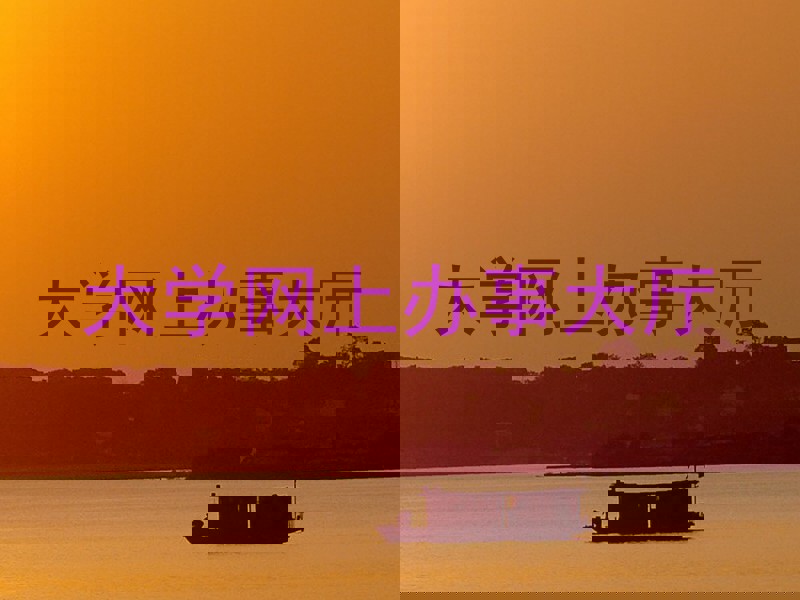 大学网上办事大厅