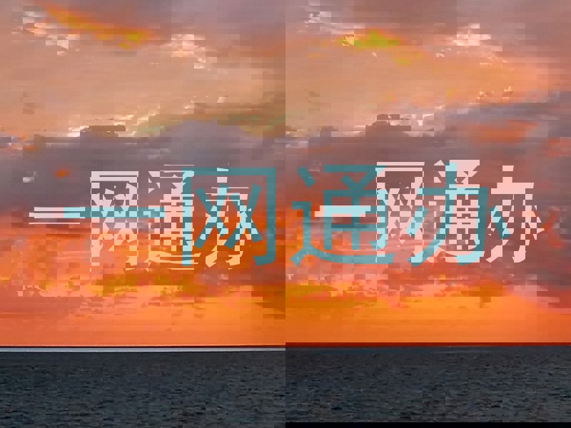 一网通办
