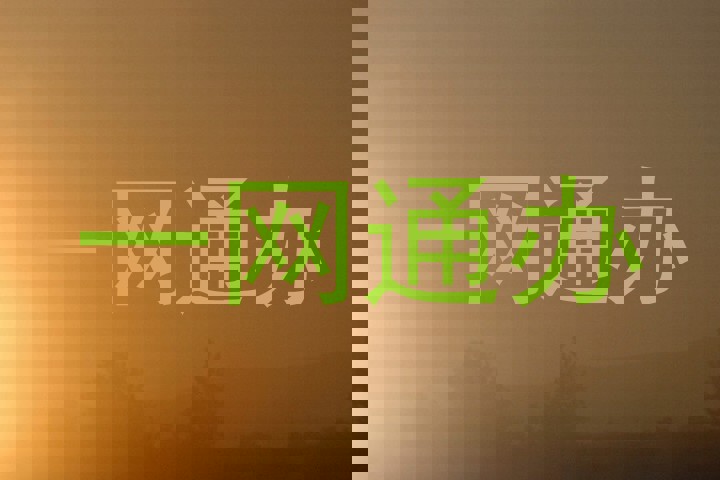 一网通办