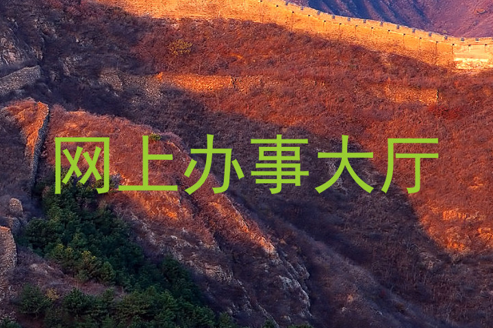 网上办事大厅
