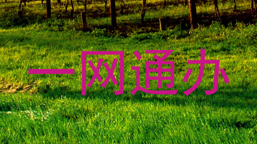 一网通办