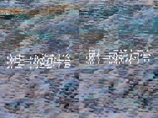 师生一网通办平台