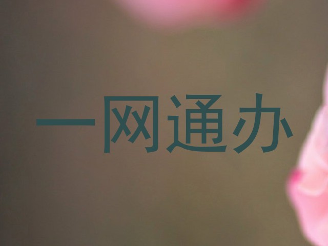 一网通办