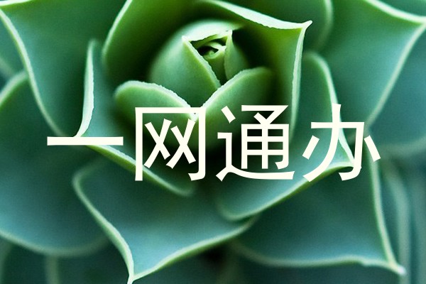一网通办