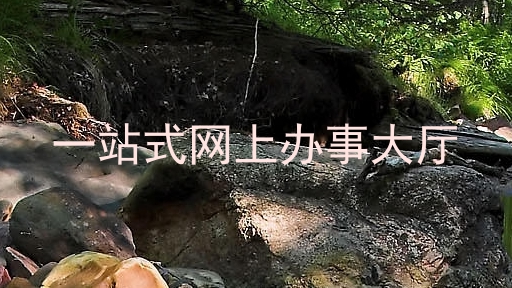 一站式网上办事大厅