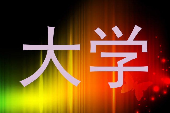 大学