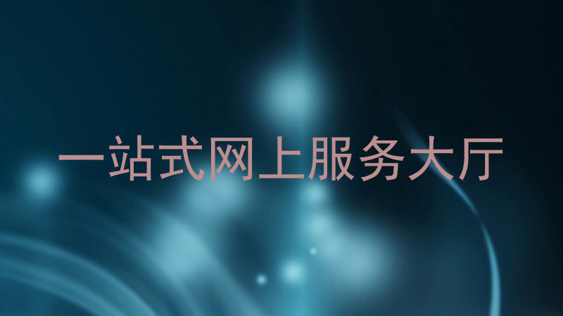 一站式网上服务大厅