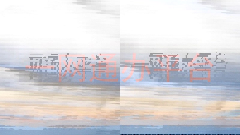 一网通办服务平台