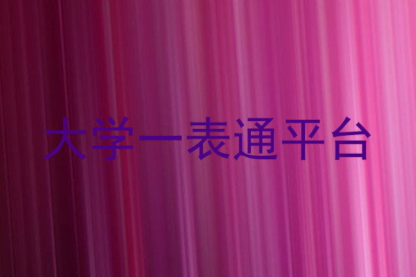 大学一表通平台