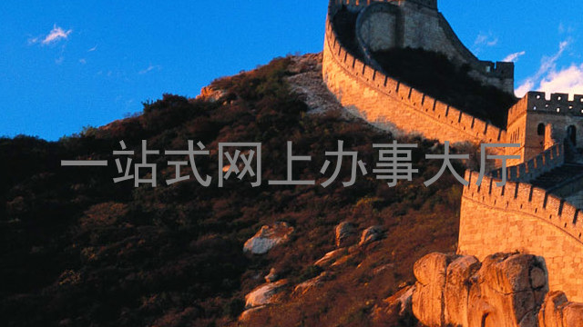 一站式网上办事大厅