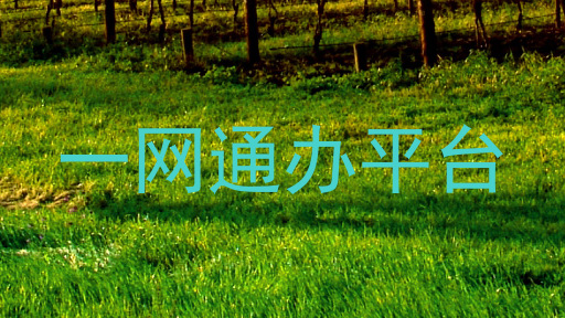 一网通办平台