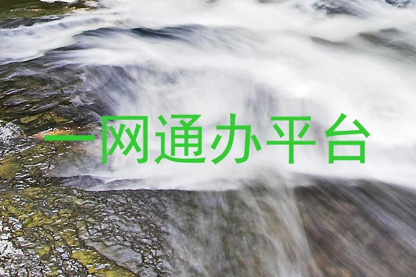 一网通办平台