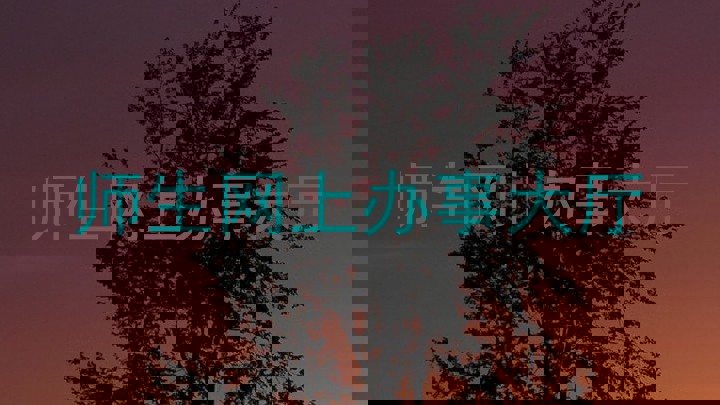 师生网上办事大厅