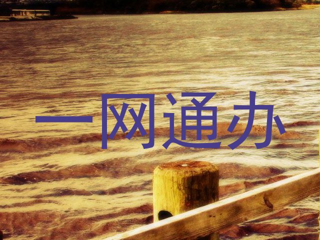 一网通办