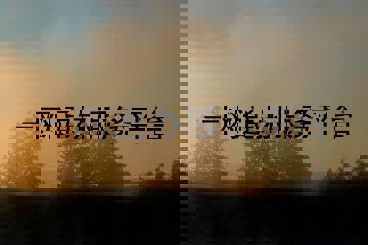 一网通办服务平台