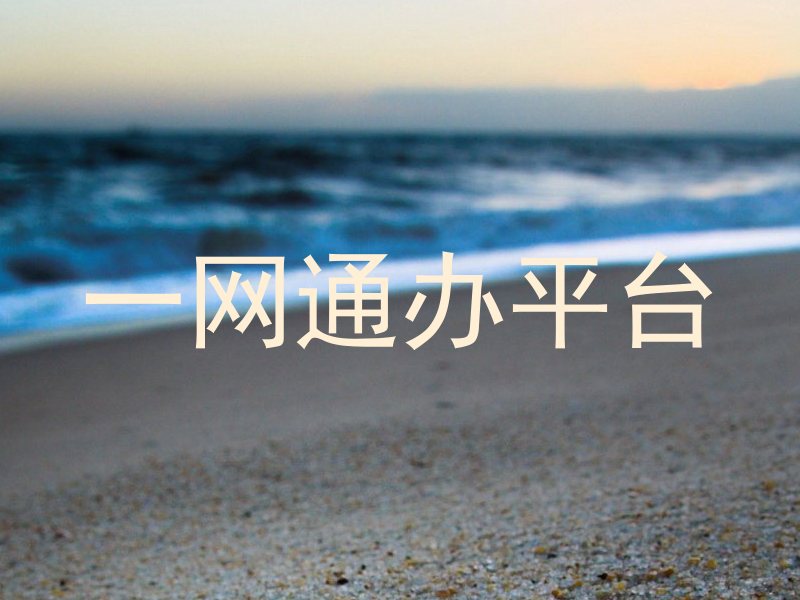 一网通办平台