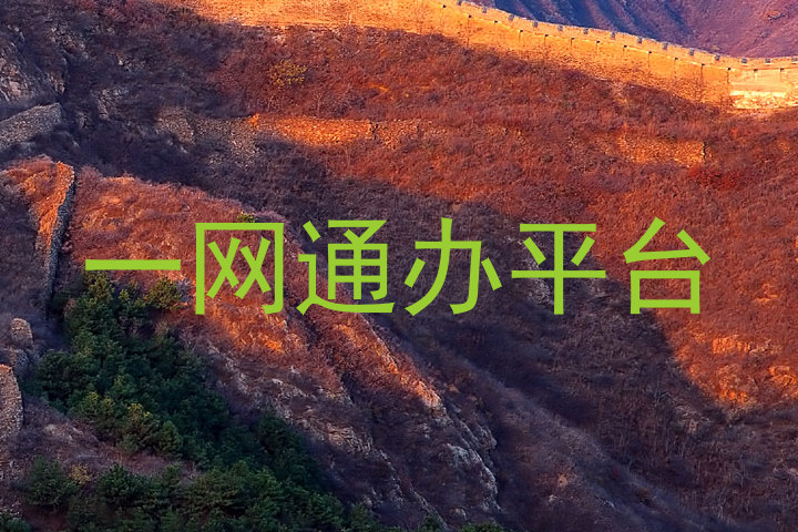 一网通办平台