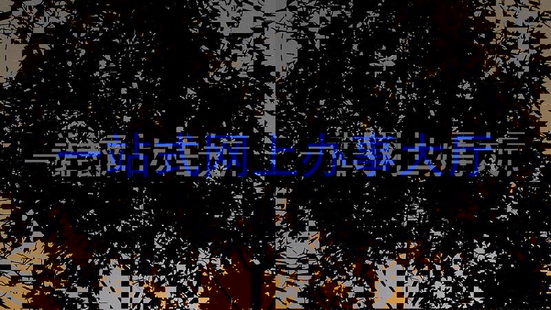 一站式网上办事大厅
