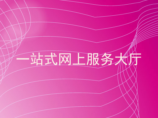一站式网上服务大厅