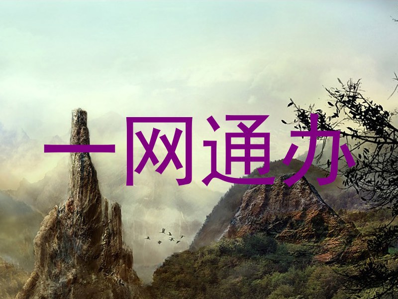 一网通办