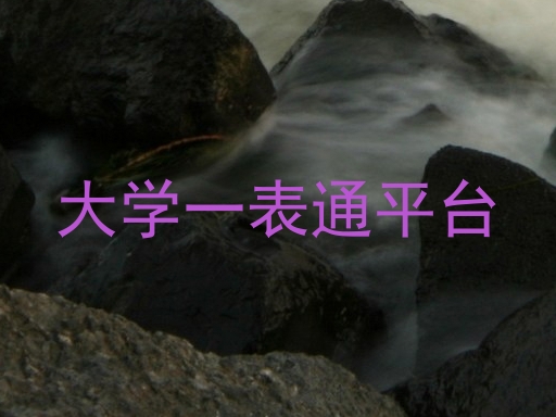 大学一表通平台