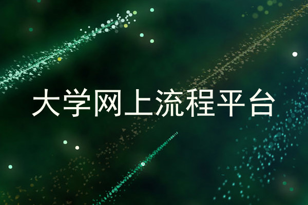 大学网上流程平台