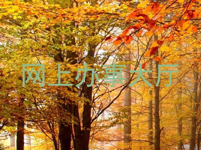 网上办事大厅