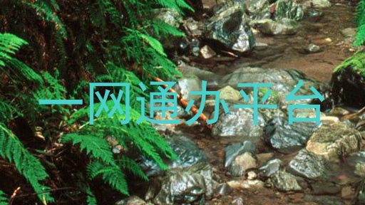 一网通办平台