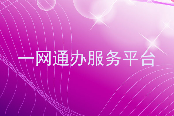 一网通办服务平台