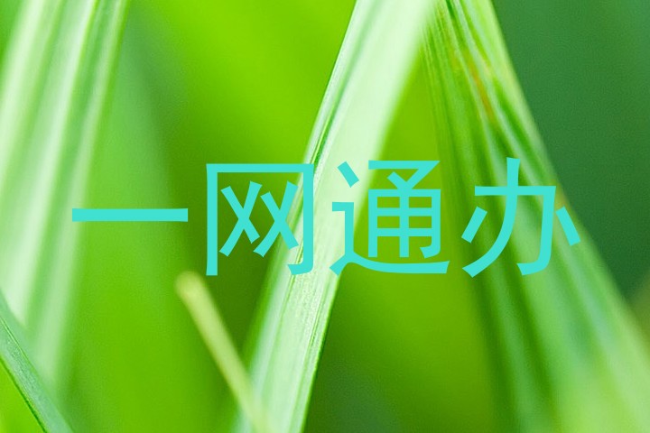 一网通办