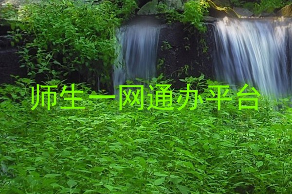 师生一网通办平台