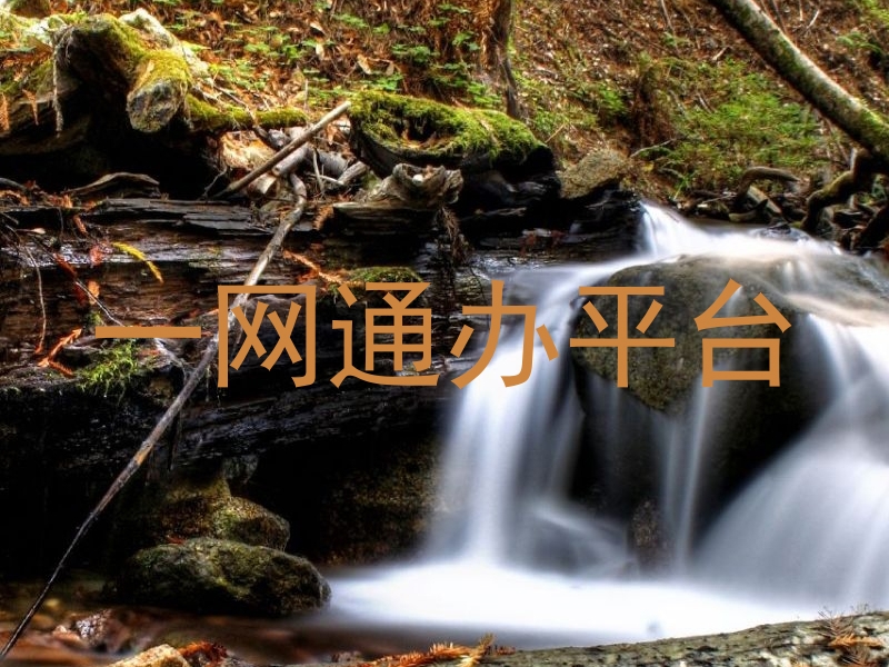 一网通办平台