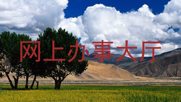 网上办事大厅