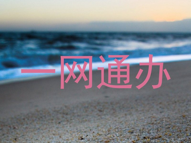 一网通办