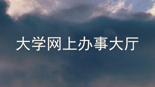 大学网上办事大厅
