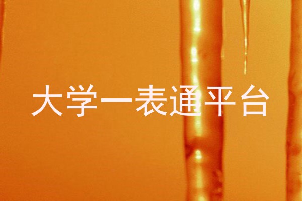 大学一表通平台