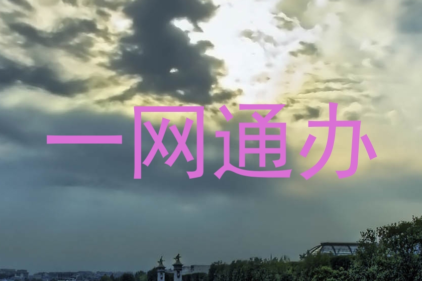 一网通办