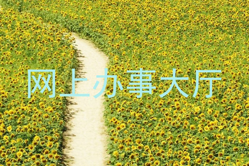 网上办事大厅