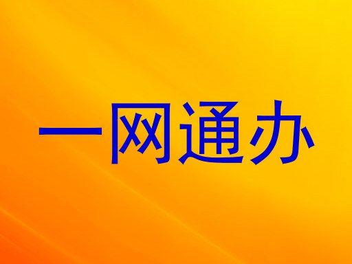 一网通办