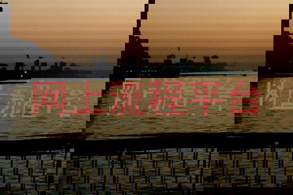 网上流程平台