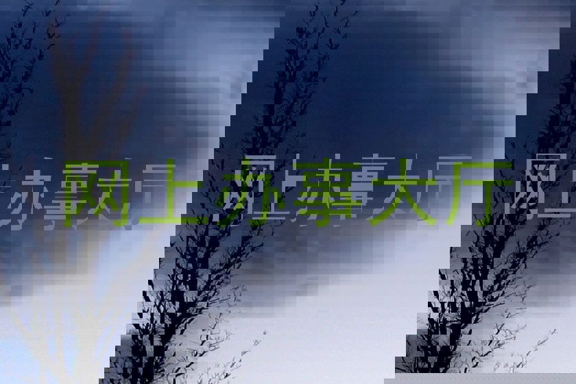 网上办事大厅