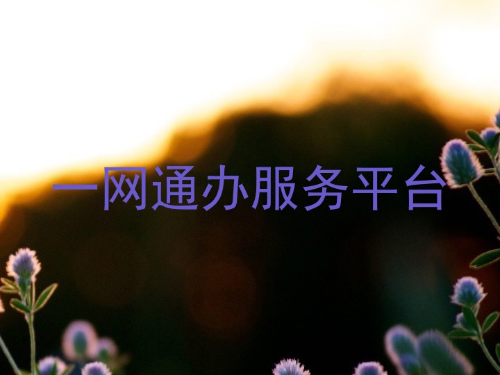一网通办服务平台