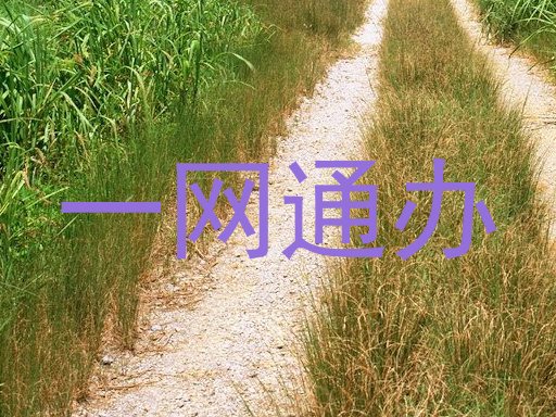 一网通办