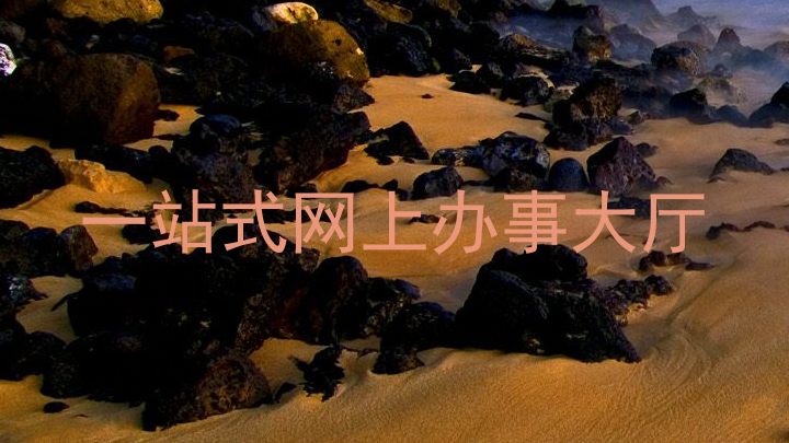 一站式网上办事大厅