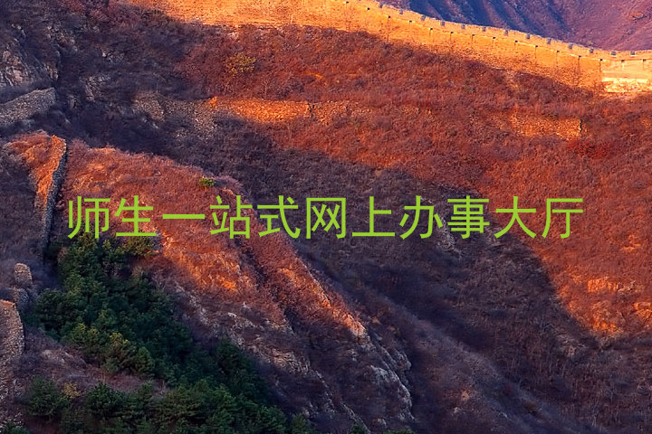 师生一站式网上办事大厅