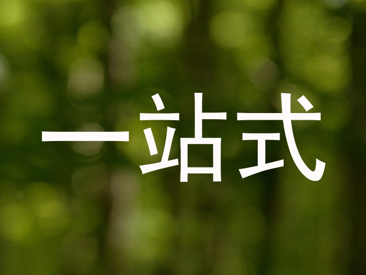 一站式