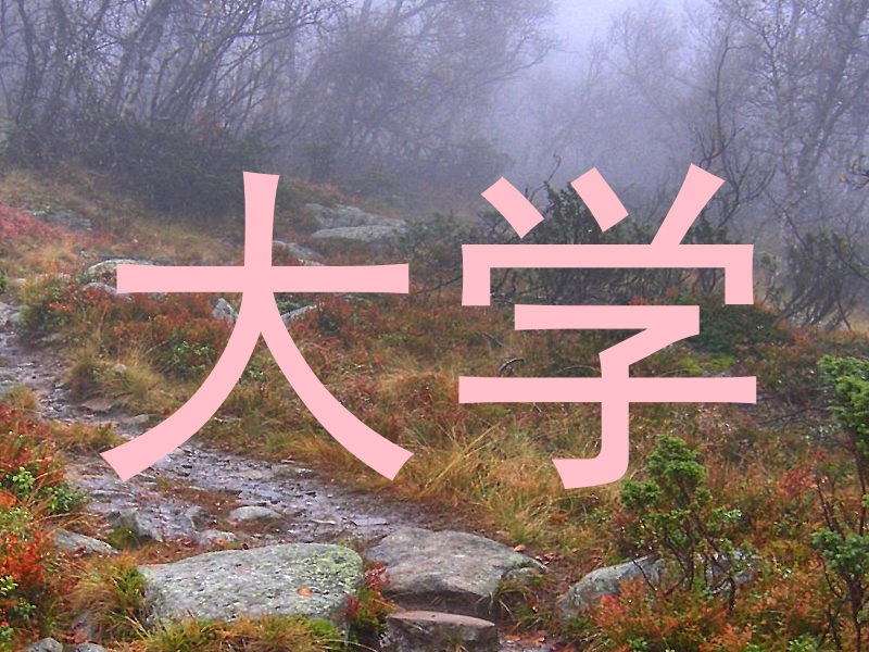 大学
