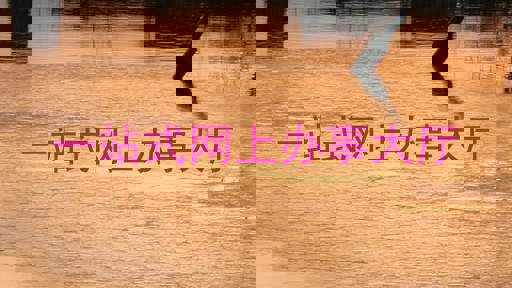 一站式网上办事大厅