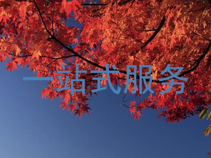 一站式服务