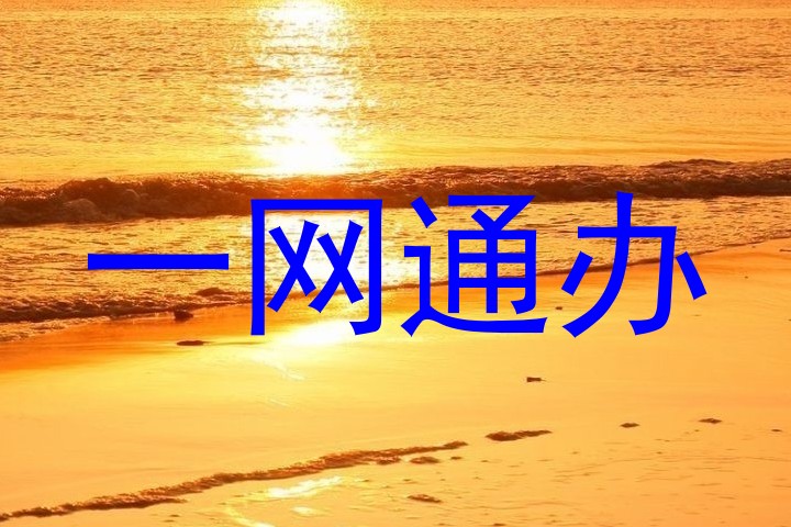 一网通办